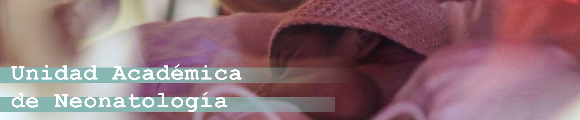 banner plantilla